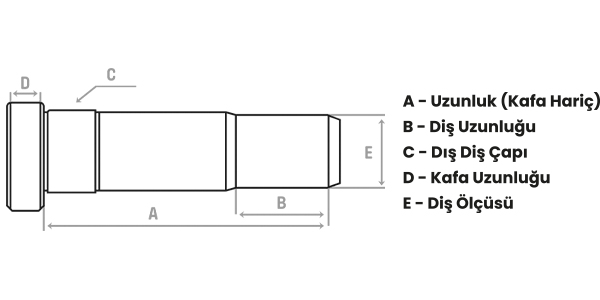 DB-1005 21
